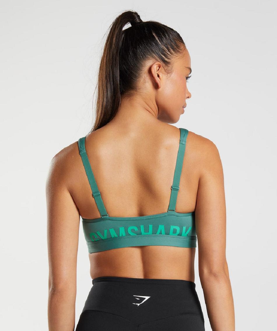 Sujetadores Deportivos Gymshark Fraction Mujer Verde | CO 2161XYU